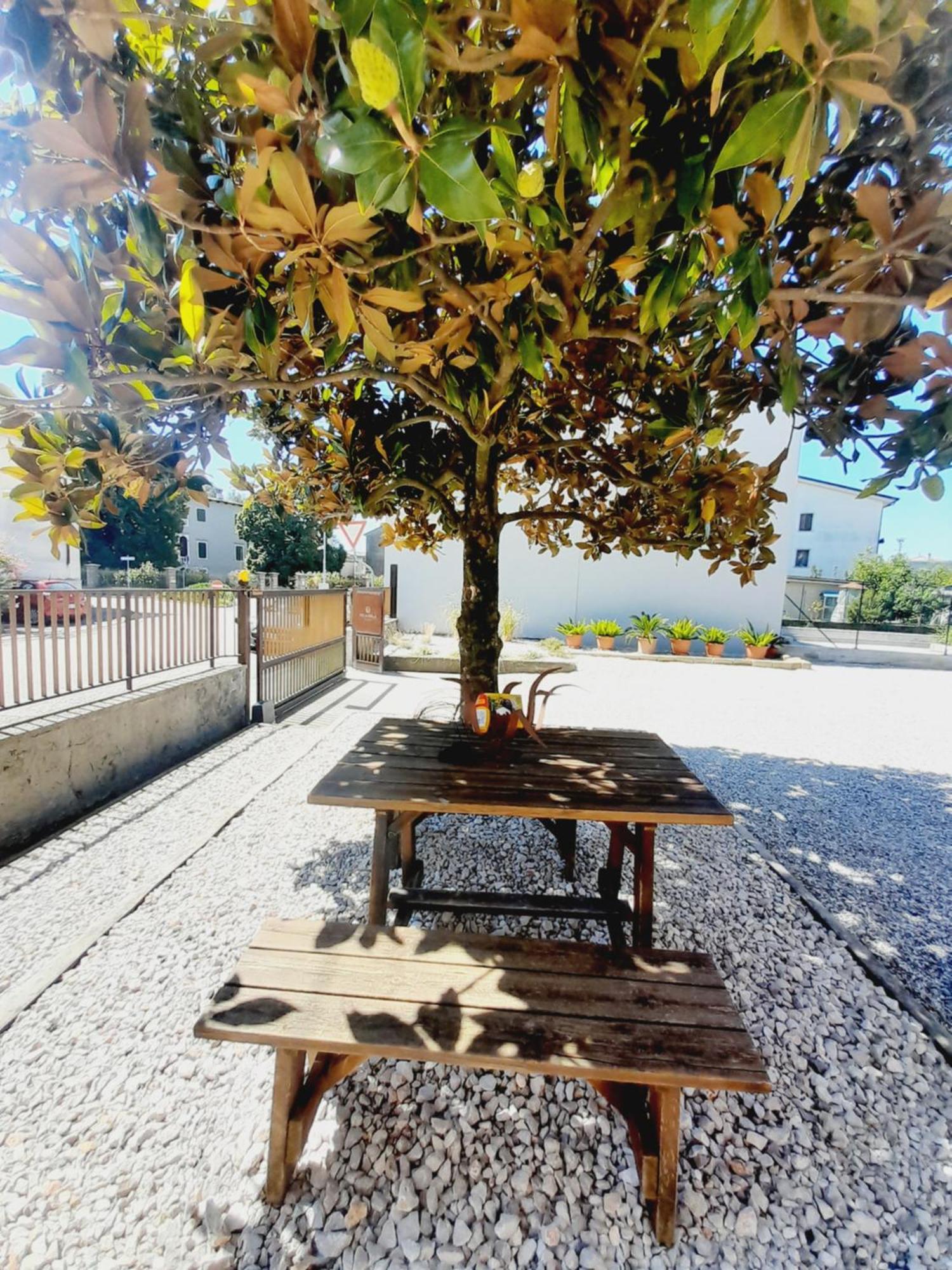 Foiarola Hotel Begliano Luaran gambar